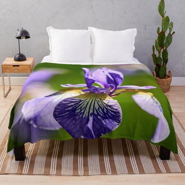 Item preview, 3x Siberian iris designed and sold by Jouko Lehto Photography.