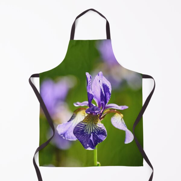 Item preview, 3x Siberian iris designed and sold by Jouko Lehto Photography.