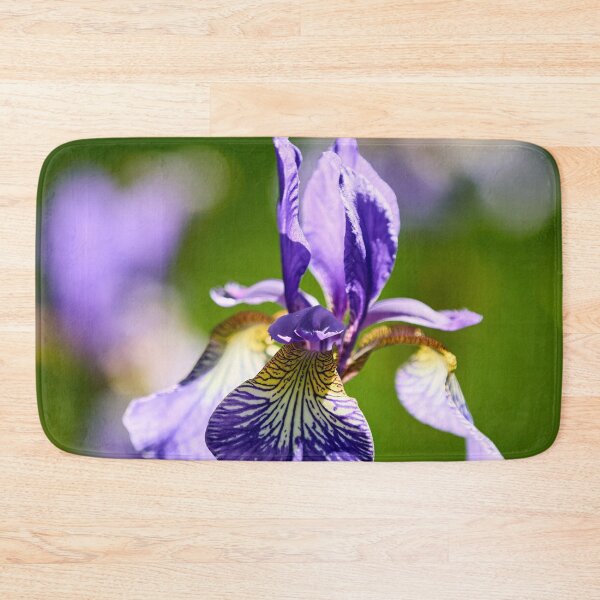 Item preview, 3x Siberian iris designed and sold by Jouko Lehto Photography.
