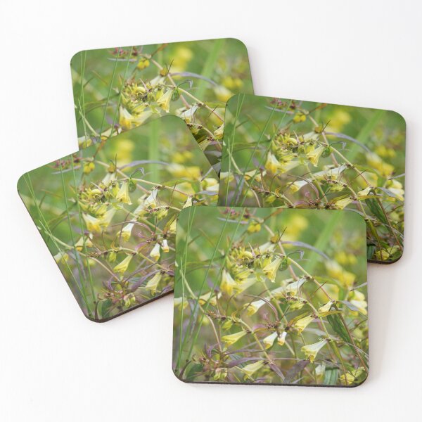 Item preview, The jungle. Common Cow-wheat designed and sold by Jouko Lehto Photography.