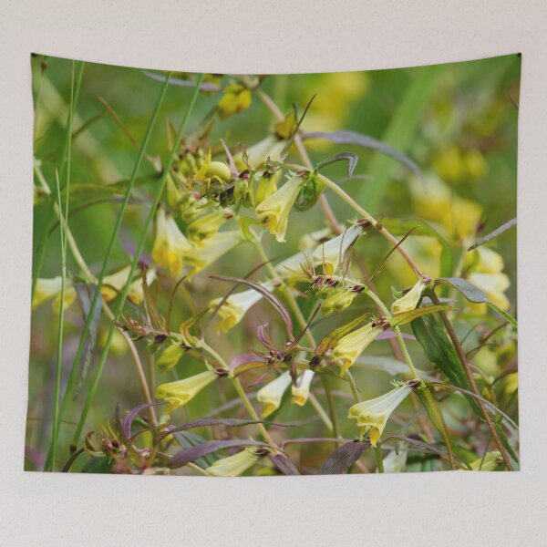 Item preview, The jungle. Common Cow-wheat designed and sold by Jouko Lehto Photography.