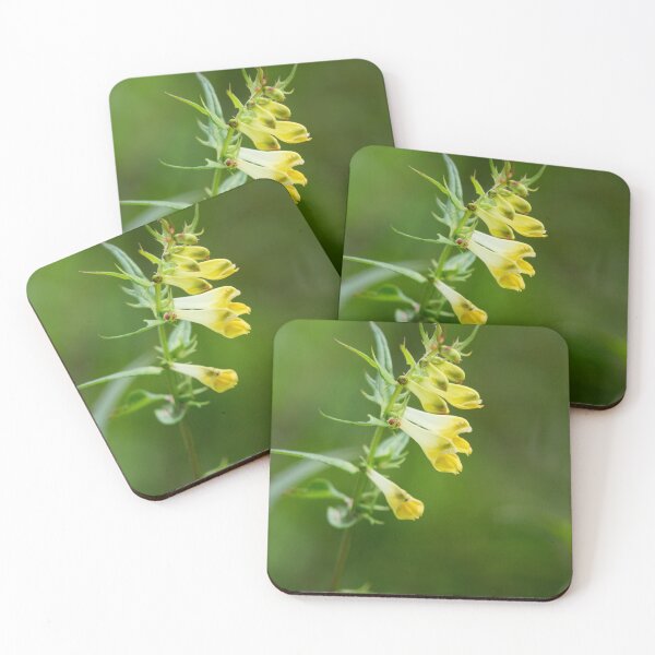 Item preview, Lips. Common Cow-wheat designed and sold by Jouko Lehto Photography.