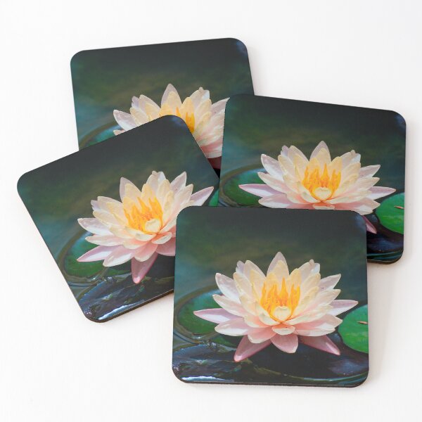 Item preview, Peach Water Lily on a Quiet Pond designed and sold by Jomsunshine.