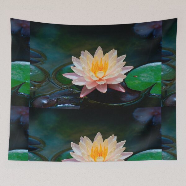 Item preview, Peach Water Lily on a Quiet Pond designed and sold by Jomsunshine.