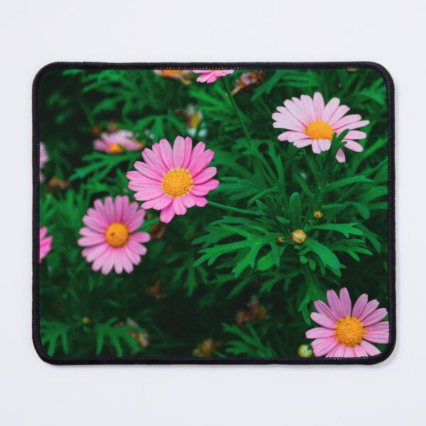 Item preview, Pink Daisies in a Green Garden designed and sold by Jomsunshine.