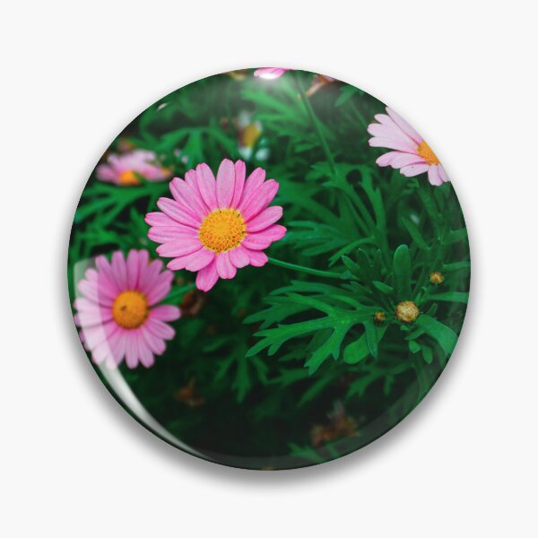 Item preview, Pink Daisies in a Green Garden designed and sold by Jomsunshine.