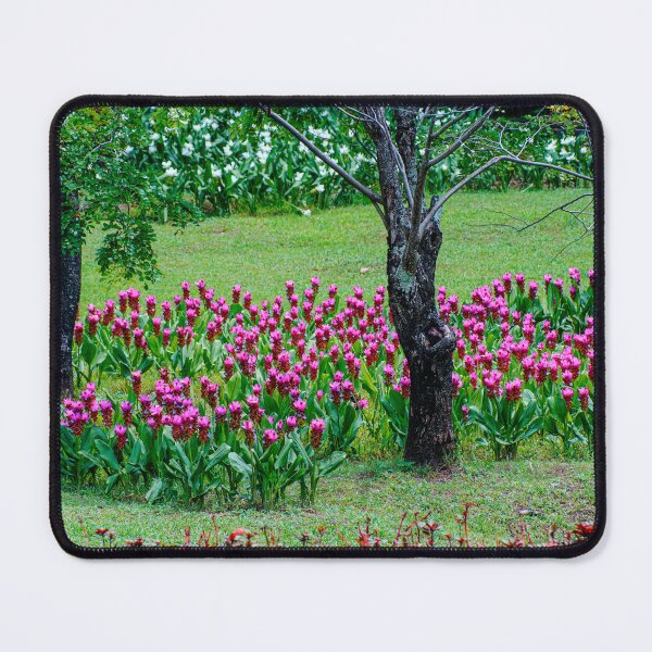 Item preview, Siam Tulip Garden in Bloom designed and sold by Jomsunshine.