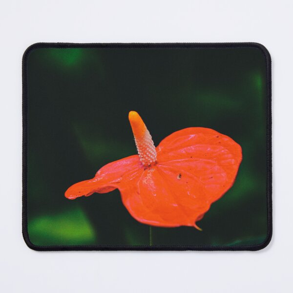 Item preview, Red Anthurium Flamingo Flower designed and sold by Jomsunshine.