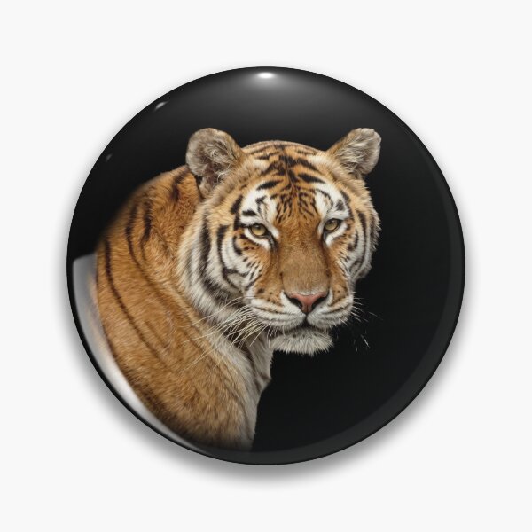 Item preview, Tiger designed and sold by Guardi71.