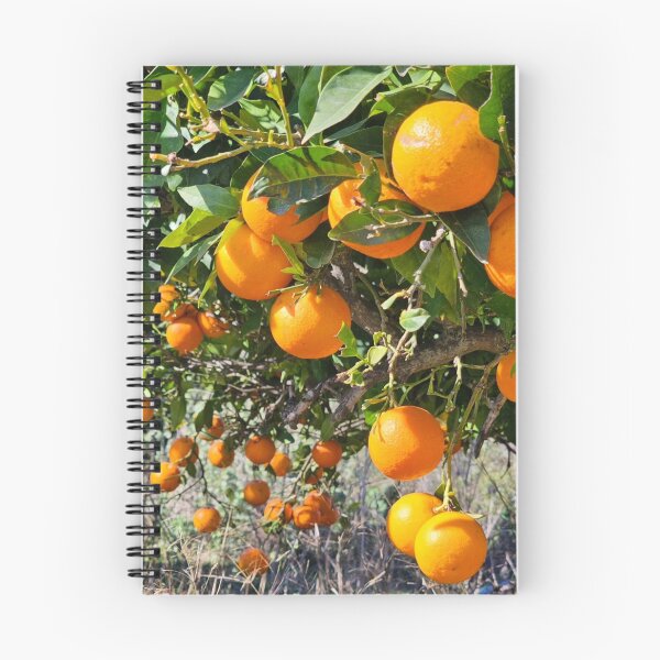 Item preview, Sunny Country Music Hall Of Fame aOrange Mood designed and sold by Mariflowers.