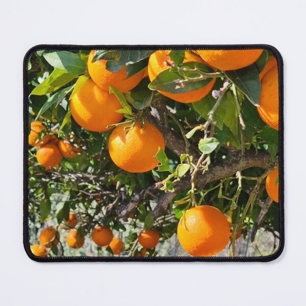 Item preview, Sunny Country Music Hall Of Fame aOrange Mood designed and sold by Mariflowers.