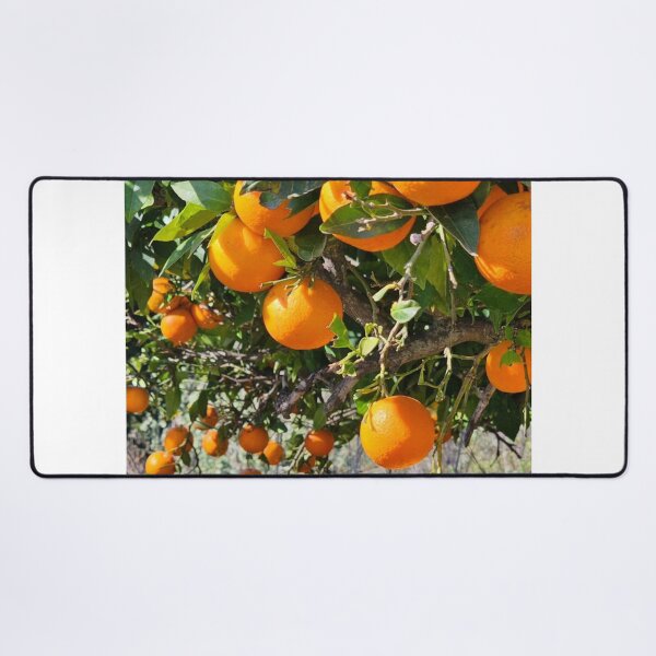 Item preview, Sunny Country Music Hall Of Fame aOrange Mood designed and sold by Mariflowers.
