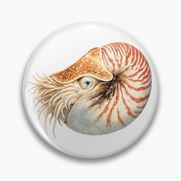 Artikelvorschau, Chambered Nautilus — Watercolour Cephalopod entworfen und verkauft von Jaruart.