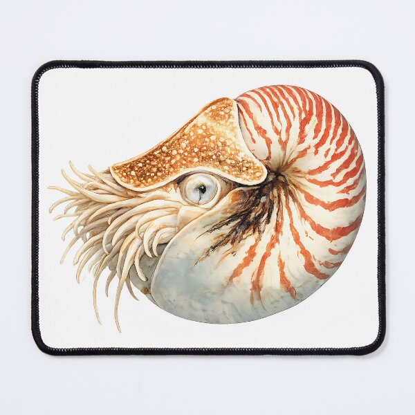 Item preview, Chambered Nautilus — Watercolour Cephalopod designed and sold by Jaruart.