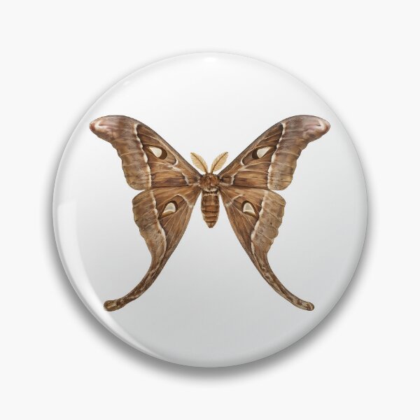 Artikelvorschau, Hercules Moth — Watercolour Moth Illustration entworfen und verkauft von Jaruart.