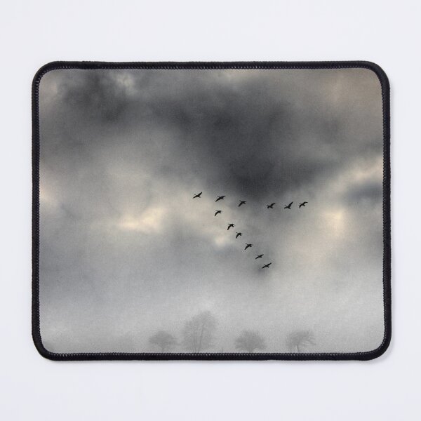 Item preview, Flying into a Gathering Storm designed and sold by Wayne King.