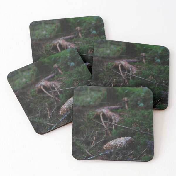 Item preview, A pine forest floor in Wales designed and sold by TomRomanPhotos.