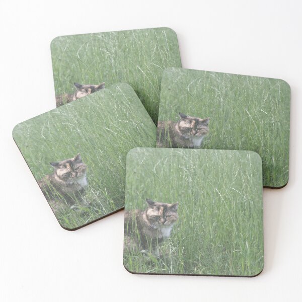 Item preview, Tortoiseshell Cat Hiding in Tall Grass designed and sold by catshop222.