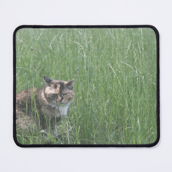 Item preview, Tortoiseshell Cat Hiding in Tall Grass designed and sold by catshop222.