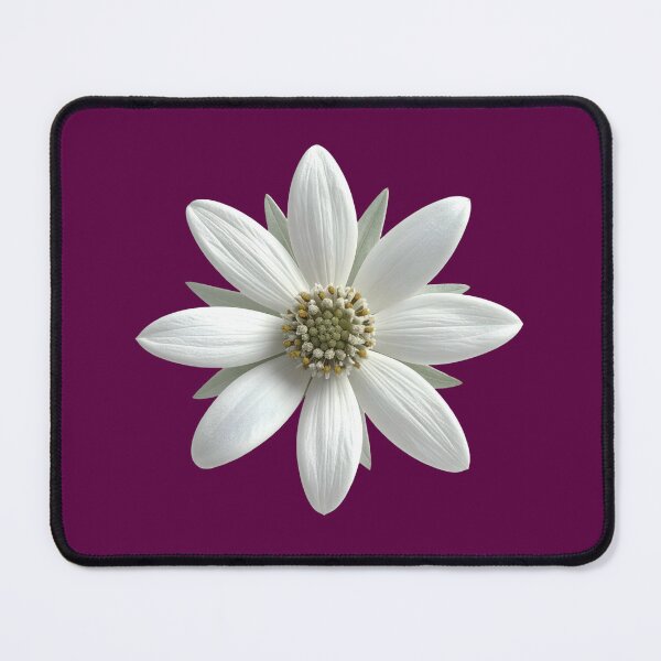 Item preview, Moody Deep Plum White Daisy Floral Pattern designed and sold by Jyoti Digital Artist.