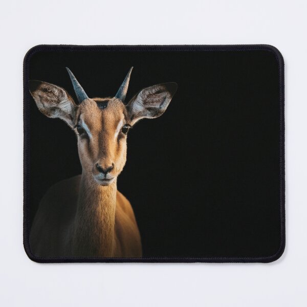 Item preview, Impala Fine Art Photography African Antelope Portrait Safari Wildlife Nature Lover Gift Luxury Animal Decor Contemporary Design designed and sold by Kzara Visual.