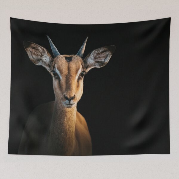 Item preview, Impala Fine Art Photography African Antelope Portrait Safari Wildlife Nature Lover Gift Luxury Animal Decor Contemporary Design designed and sold by Kzara Visual.