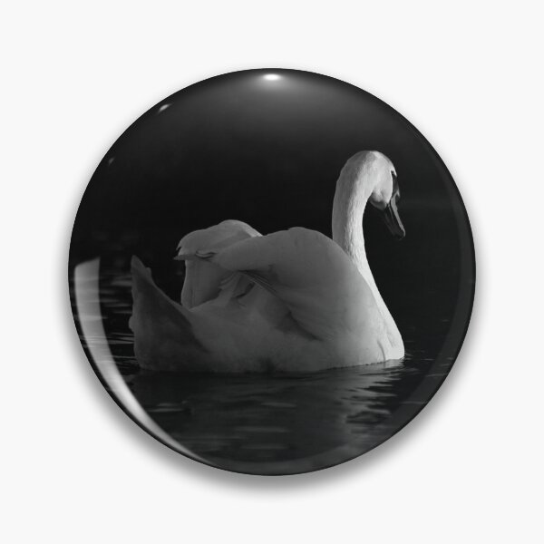 Item preview, Mute Swan Fine Art Photography Elegant Water Bird Black And White Nature Print Minimalist Wildlife Decor Bird Lover Gift designed and sold by Kzara Visual.