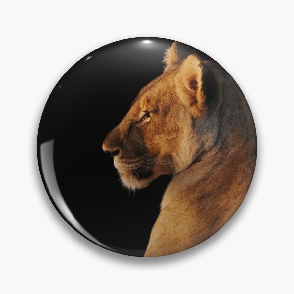 Item preview, Lioness Fine Art Photography Print African Wildlife Wall Art Safari Animal Decor Nature Photography Gift Big Cat Artwork designed and sold by Kzara Visual.
