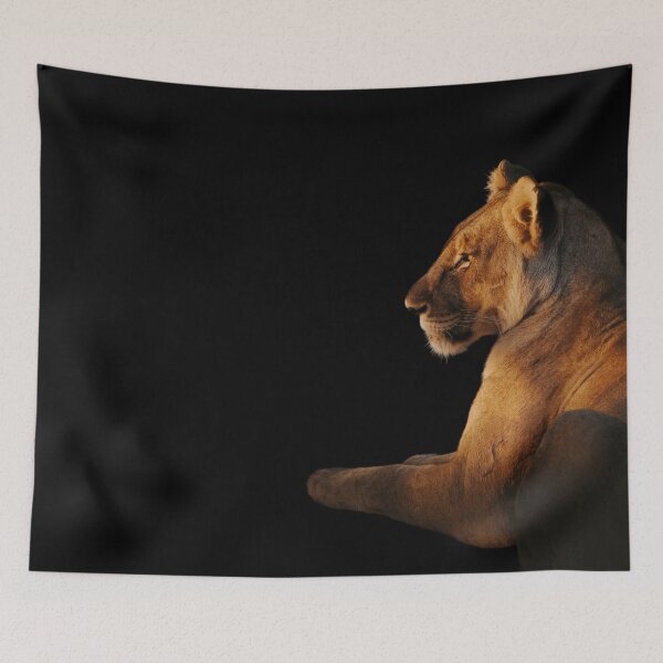 Item preview, Lioness Fine Art Photography Print African Wildlife Wall Art Safari Animal Decor Nature Photography Gift Big Cat Artwork designed and sold by Kzara Visual.
