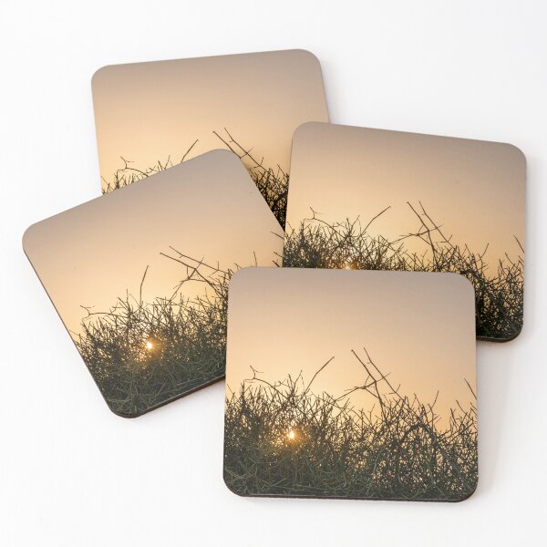 Item preview, Sunlight Through Thorny Branches designed and sold by MariaAbaza.