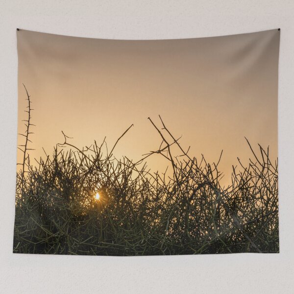 Item preview, Sunlight Through Thorny Branches designed and sold by MariaAbaza.