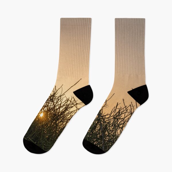 Item preview, Sunlight Through Thorny Branches designed and sold by MariaAbaza.