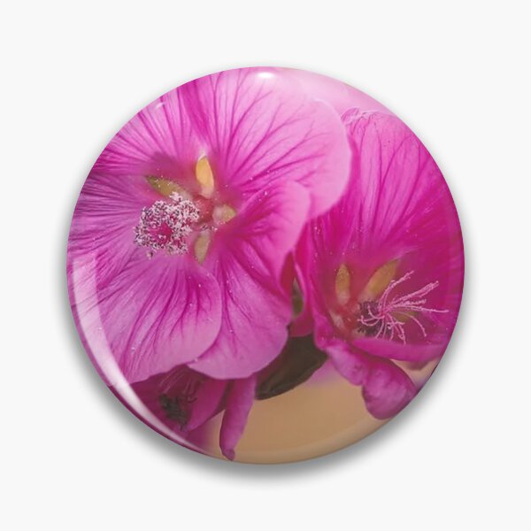 Item preview, La malva arbórea designed and sold by Martin Stokes Photography.