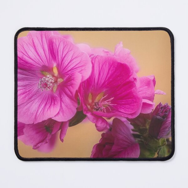Item preview, The Tree Mallow designed and sold by Martin Stokes Photography.