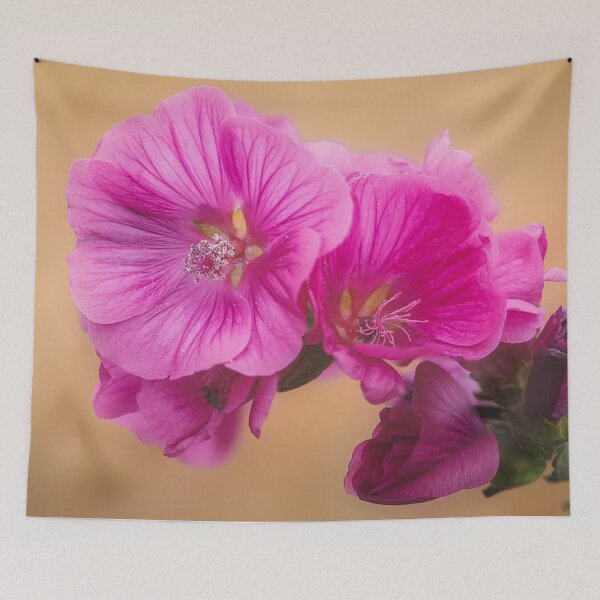 Item preview, The Tree Mallow designed and sold by Martin Stokes Photography.