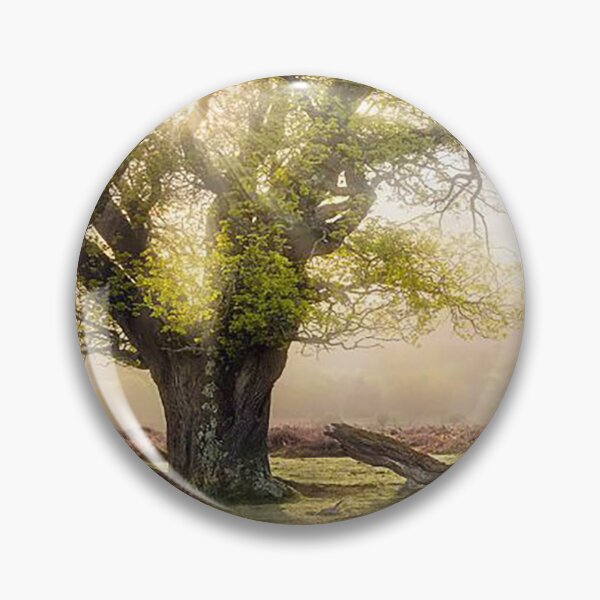 Artikelvorschau, Uralte Eiche, New Forest entworfen und verkauft von Martin Stokes Photography.