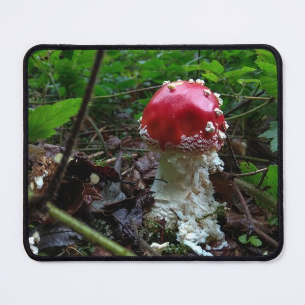 Item preview, Red Fly Agaric Mushroom Forest Floor Photography designed and sold by BetweenForms.