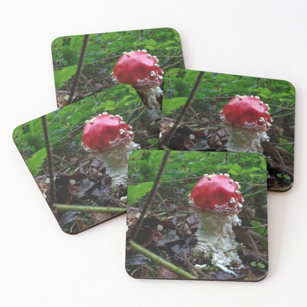 Item preview, Red Fly Agaric Mushroom Forest Floor Photography designed and sold by BetweenForms.