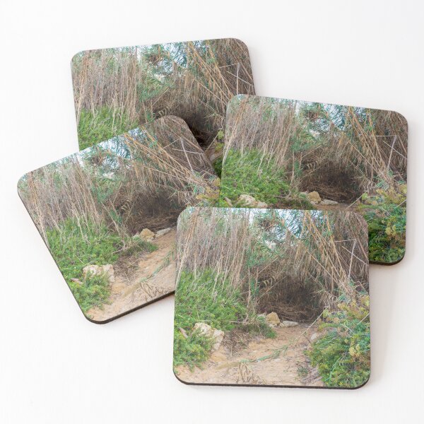 Item preview, Coastal Sand Path Leading Into Dense Reeds and Green Vegetation Creating a Hidden Natural Tunnel designed and sold by Nmallia.