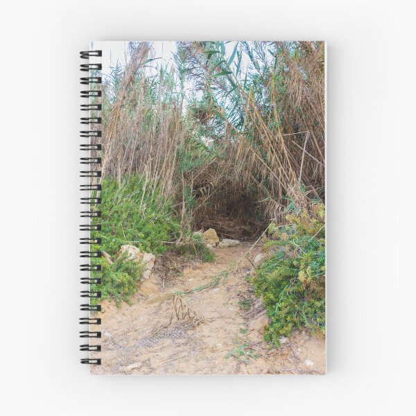 Item preview, Coastal Sand Path Leading Into Dense Reeds and Green Vegetation Creating a Hidden Natural Tunnel designed and sold by Nmallia.