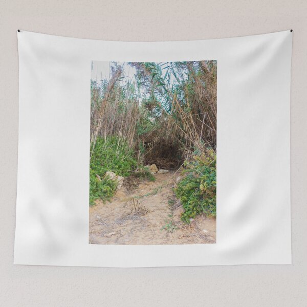 Item preview, Coastal Sand Path Leading Into Dense Reeds and Green Vegetation Creating a Hidden Natural Tunnel designed and sold by Nmallia.