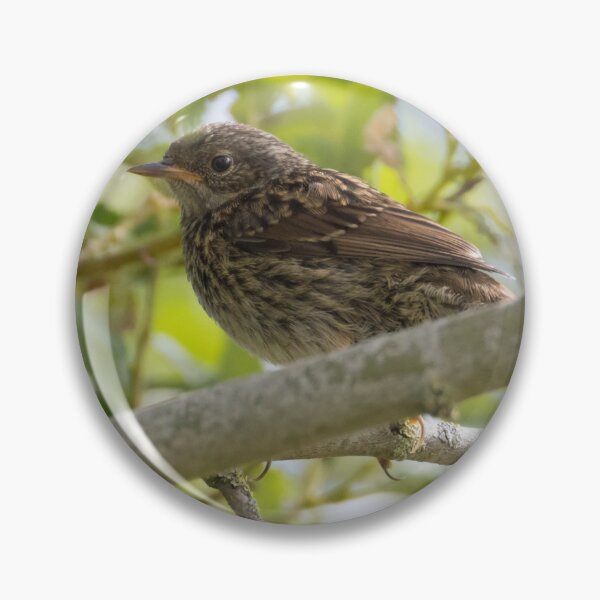 Item preview, Dunnock  designed and sold by LaurenTucker.