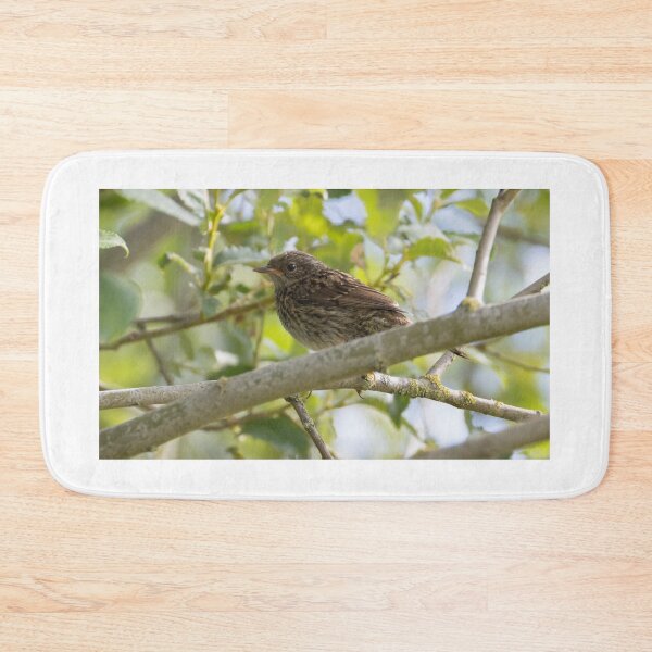 Item preview, Dunnock  designed and sold by LaurenTucker.