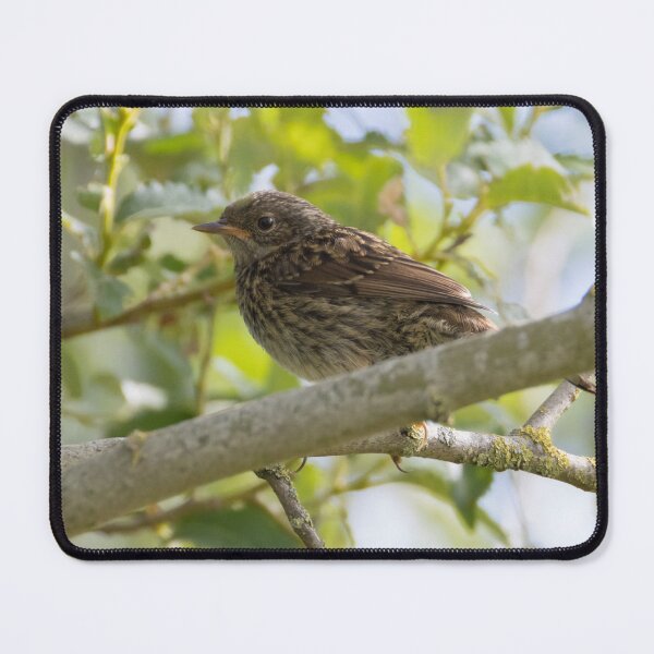 Item preview, Dunnock  designed and sold by LaurenTucker.