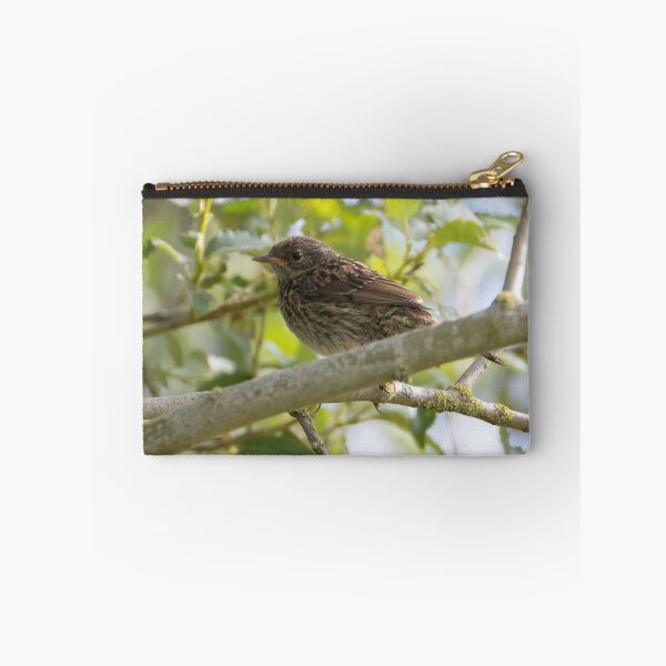 Item preview, Dunnock  designed and sold by LaurenTucker.