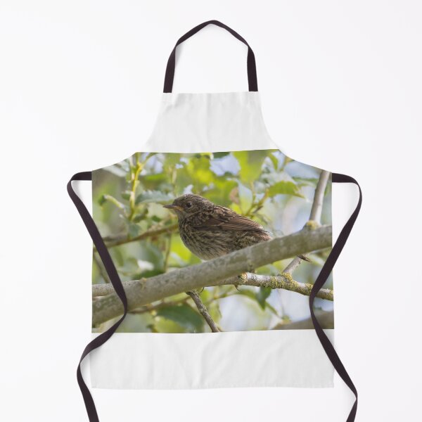 Item preview, Dunnock  designed and sold by LaurenTucker.