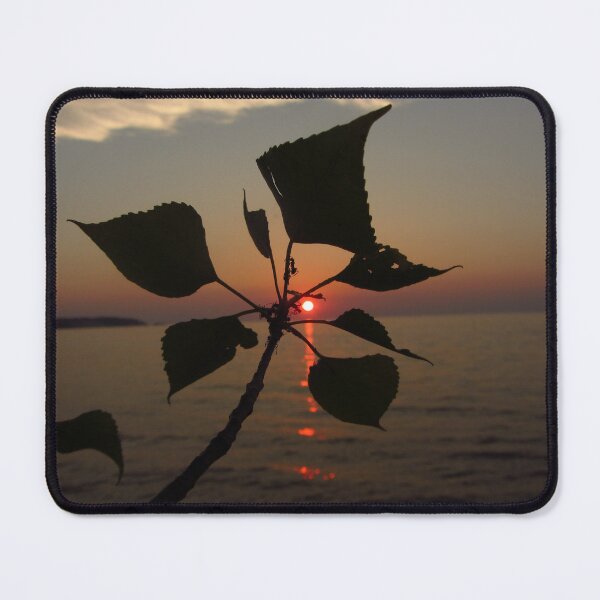 Item preview, Sunset Leaves Silhouette Over Lake Ocean Landscape designed and sold by BetweenForms.