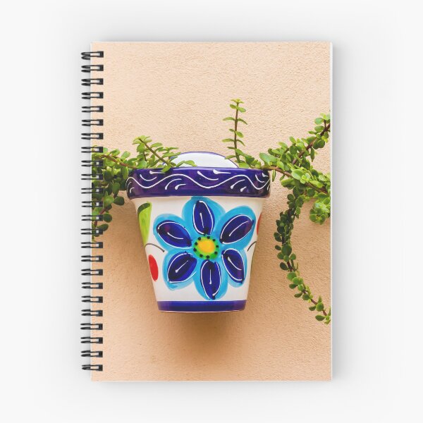 Item preview, Colorful Ceramic Flower Pot With Trailing Succulent Mounted On Pastel Wall designed and sold by Nmallia.