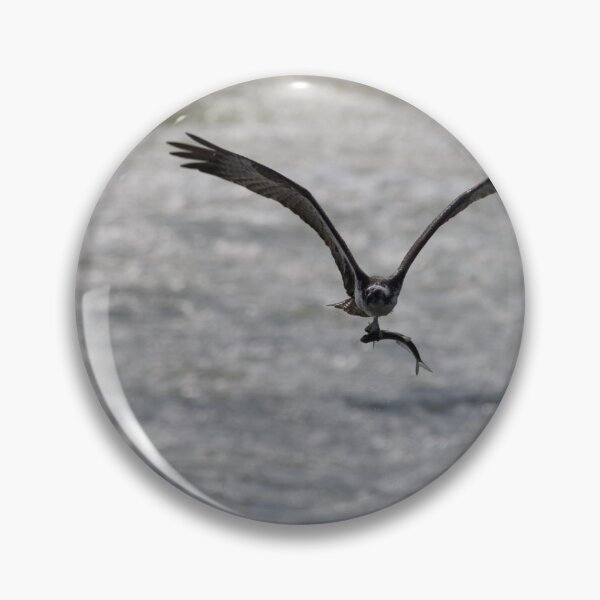 Item preview, Osprey with a Catch designed and sold by NateNelsonPhoto.