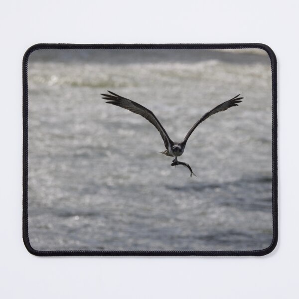 Item preview, Osprey with a Catch designed and sold by NateNelsonPhoto.